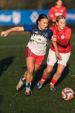 Bild 241 - wBJ Hamburger SV - Holstein Kiel : Ergebnis: 8:0